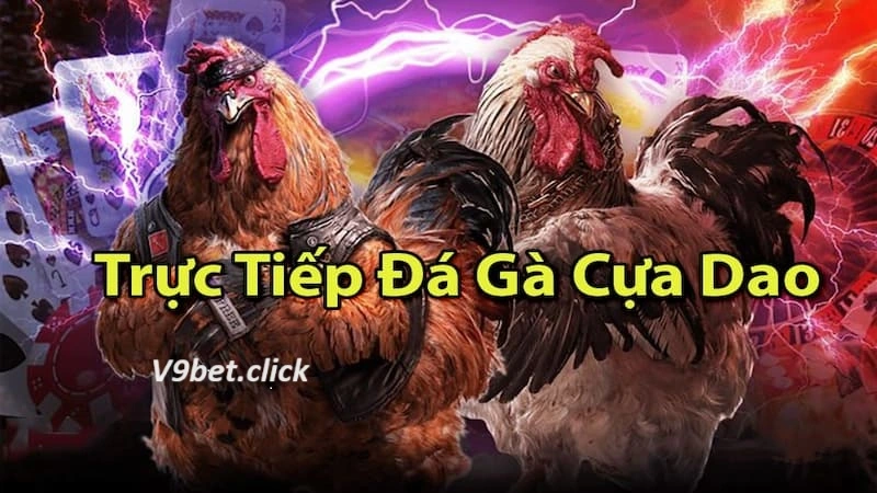 Giới thiệu đôi nét về Đá gà cựa dao tại V9bet